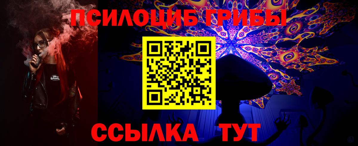 Галлюциногенные грибы Psilocybine cubensis  купить наркотики цена  Вход с VPN  Зеленодольск  Галлюциногенные грибы MAGIC MUSHROOMS 