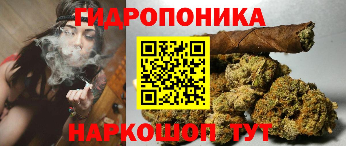 Конопля конопля Зеленодольск